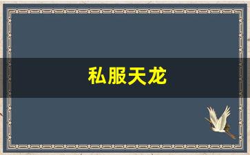 私服天龙 (5)